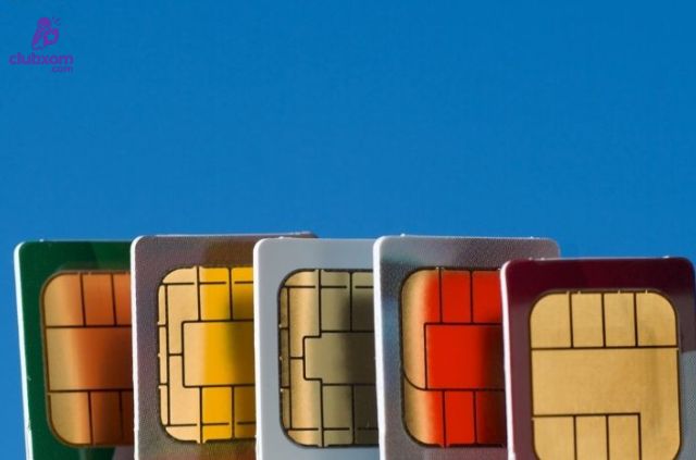 Sim hợp tuổi như "lá bùa hộ mệnh" cho ngưởi sở hữu